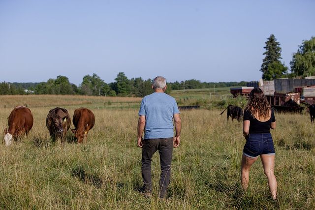 Martin's Family Fruit Farm — Always Orchard Fresh