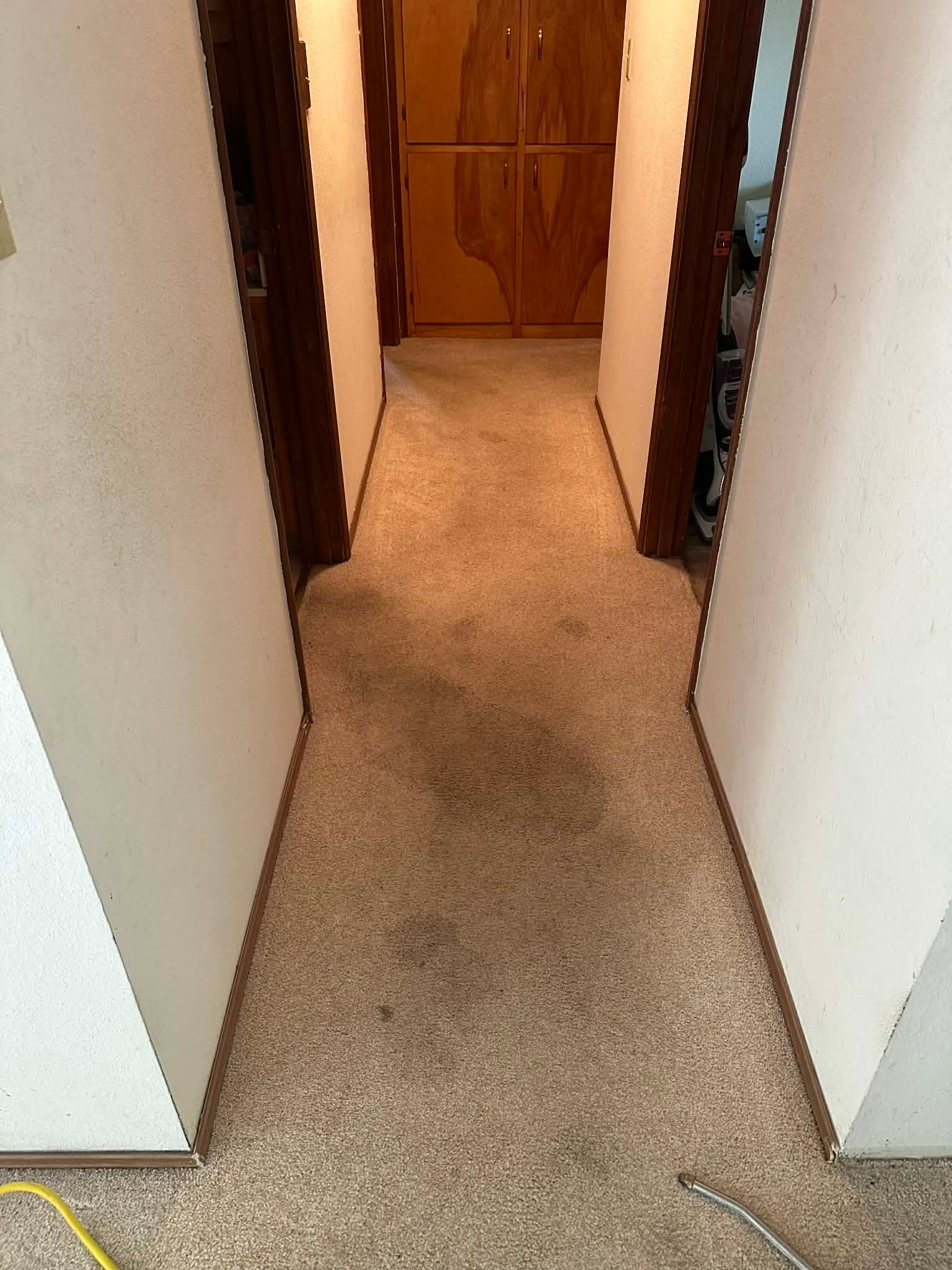 Narrow carpeted hallway with white walls and a wooden door at the end