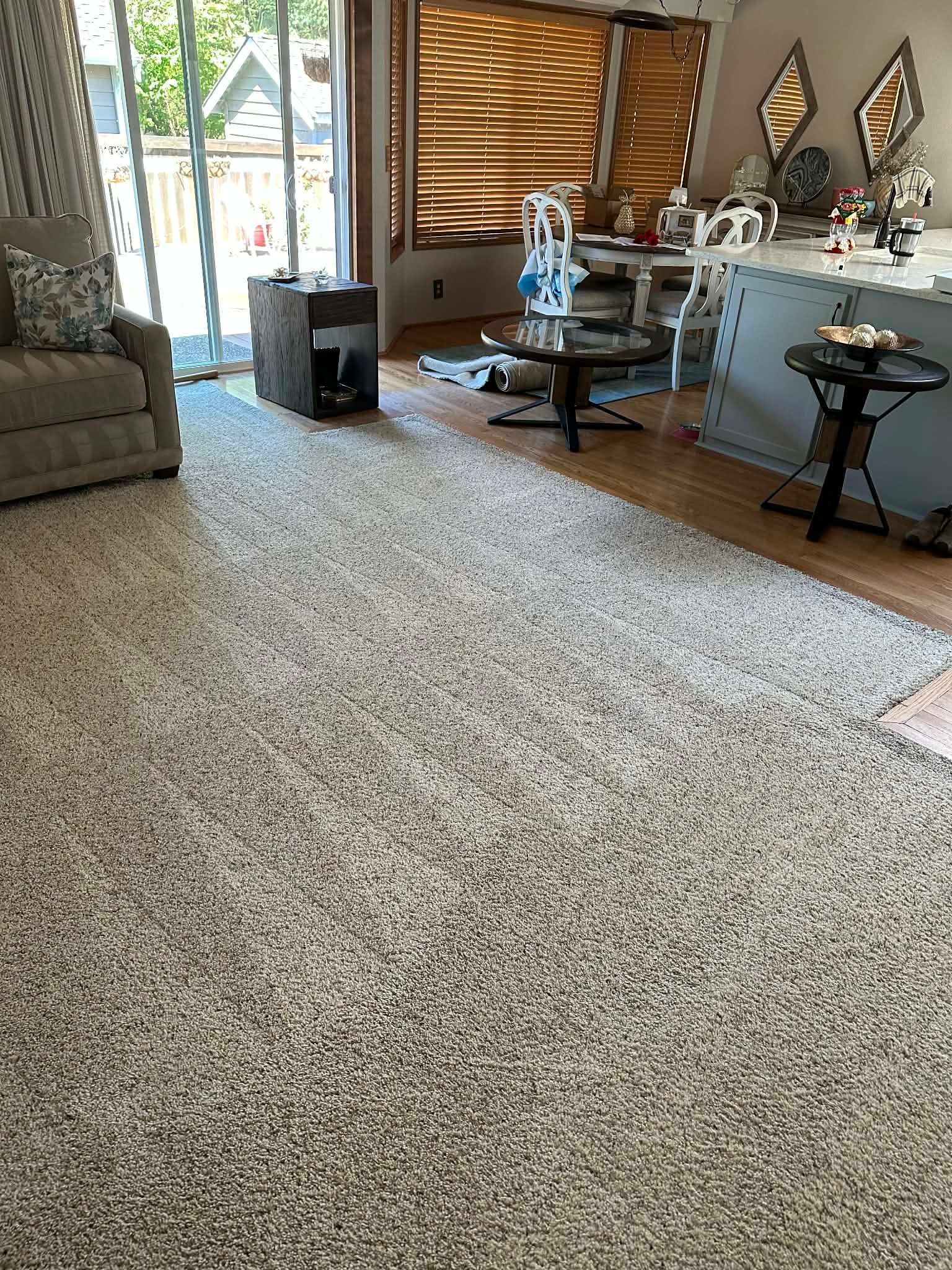 Carpeted living room with a sofa, chair, coffee table, and wooden wall by large windows.