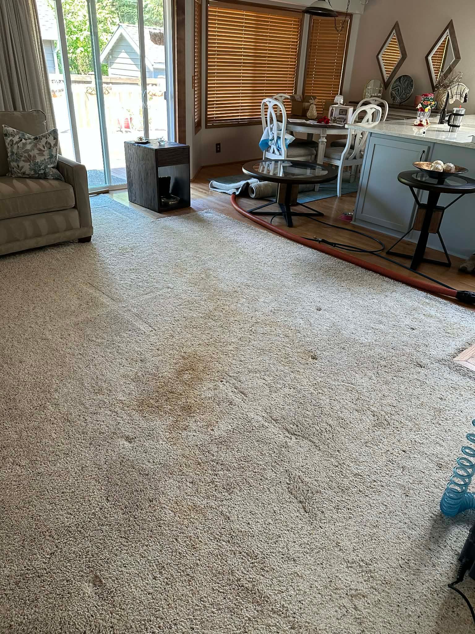 Living room with shag carpet, sofa, glass table, decor, and sliding glass door to a patio