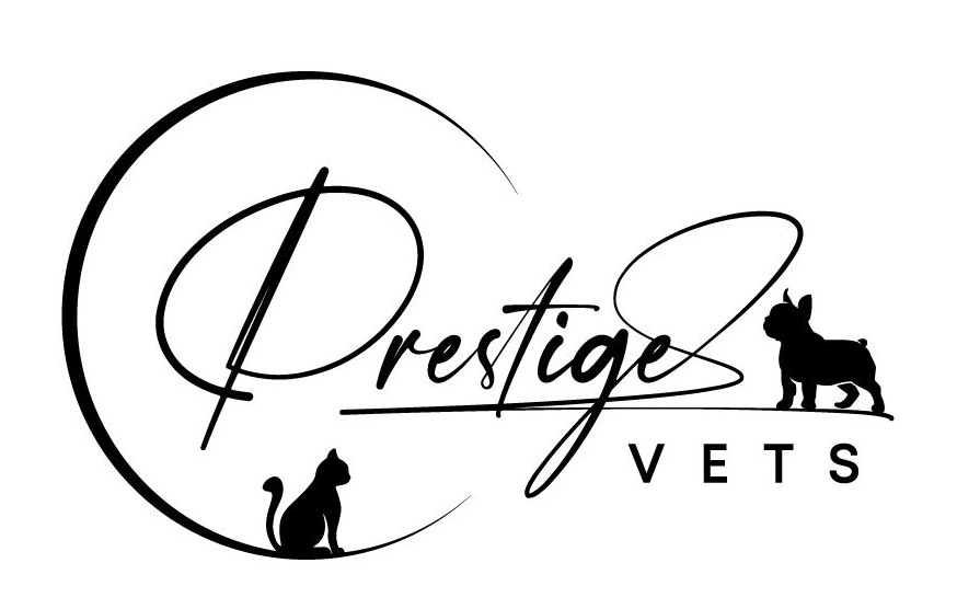 Teach Starter Pty Ltd