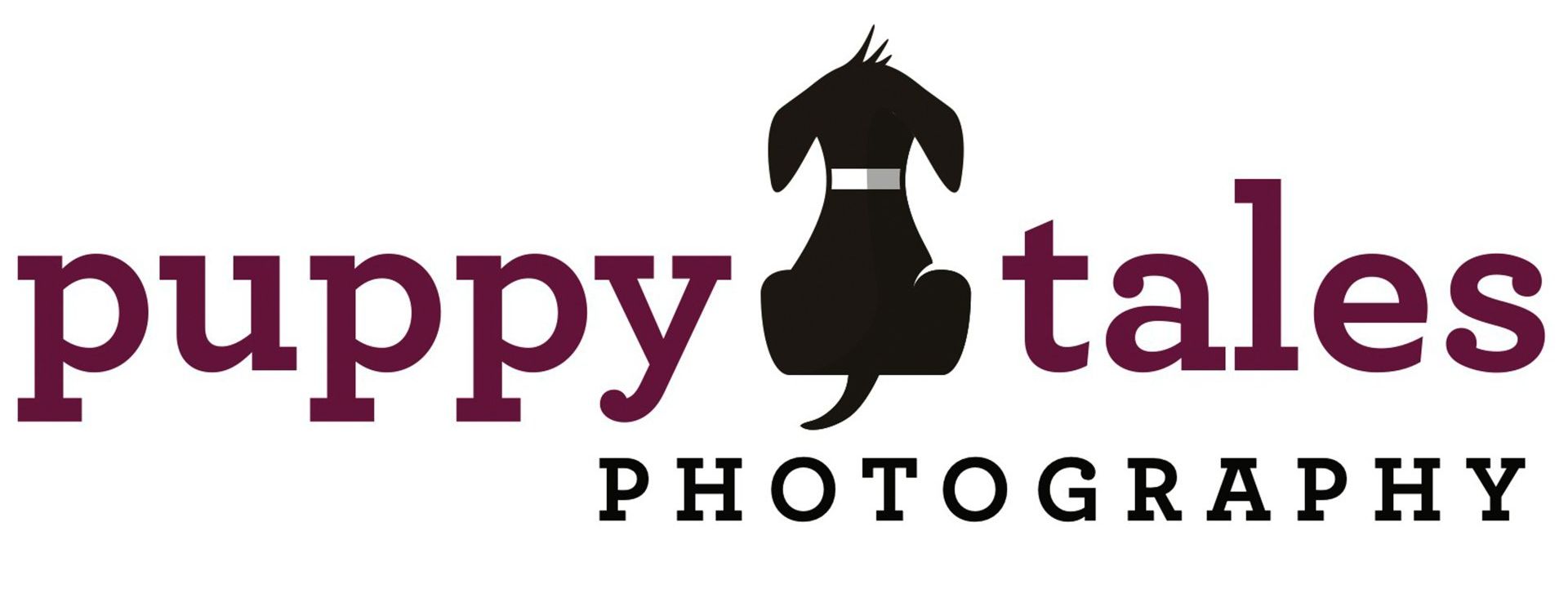 Puppy Tales Photography