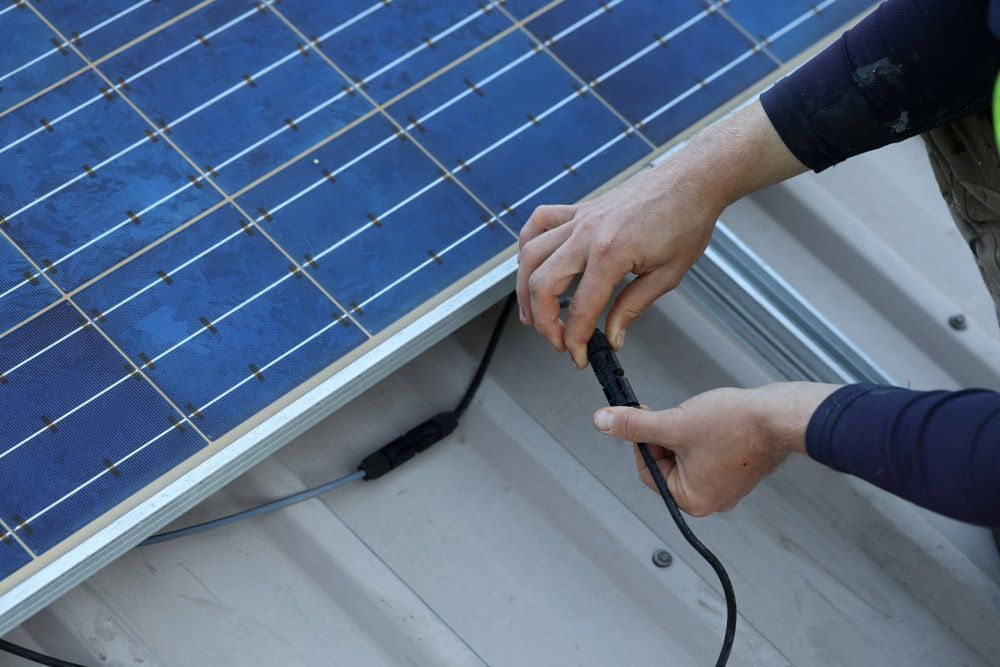 Inspecting Black Power Solar Cell Connector — Entire Trades in Maitland, NSW