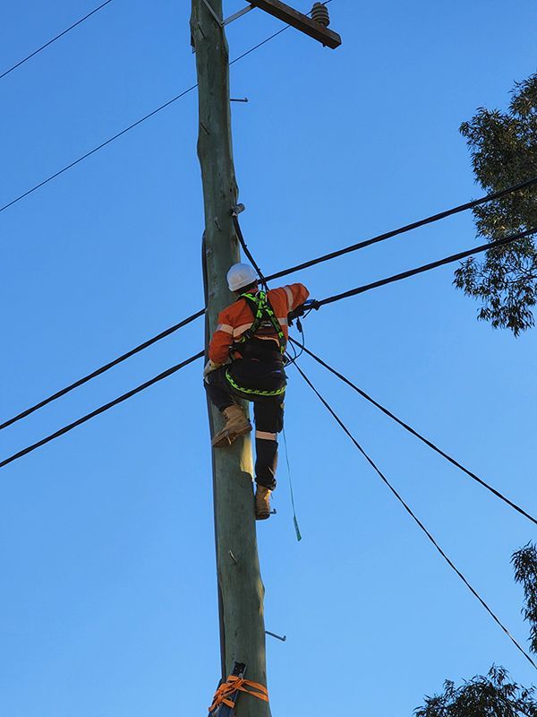 A Man Is Climbing A Power Pole Fixing The Electricity Wire — Entire Trades in Maitland, NSW