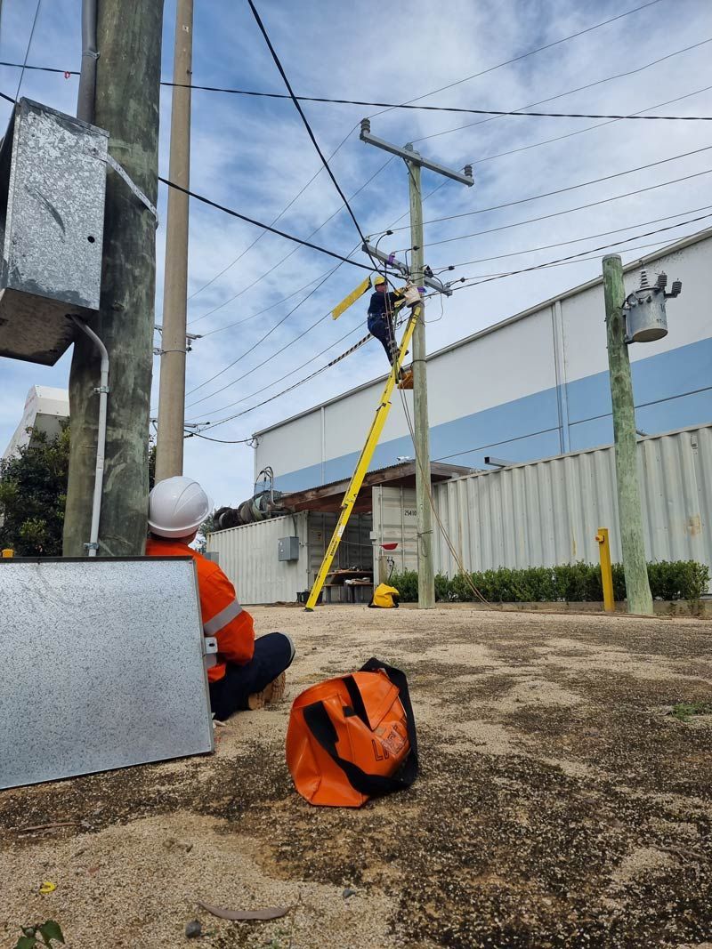 Two Working Men Wearing Uniform On A Ladder Is Working On A Power Line — Entire Trades in Central Coast, NSW