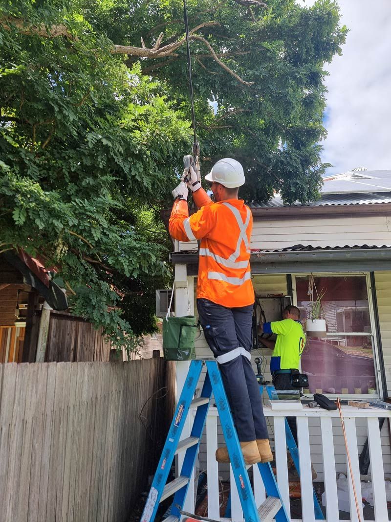 A Man Is Standing On A Ladder In Front Of A House Installing Power Line Cable — Entire Trades in Maitland, NSW