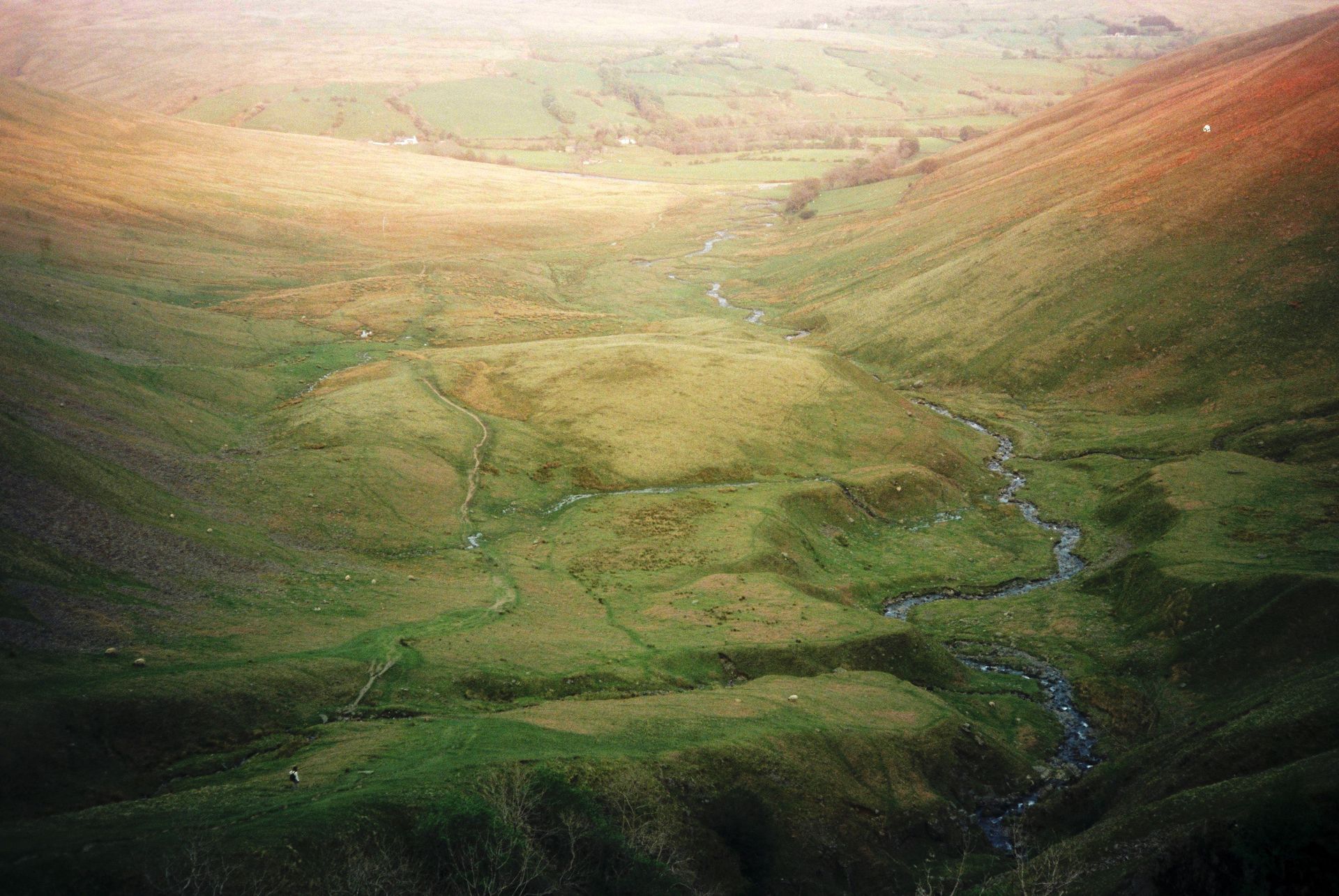Sunlit green valley with a winding stream and soft hills in Hunter Vally