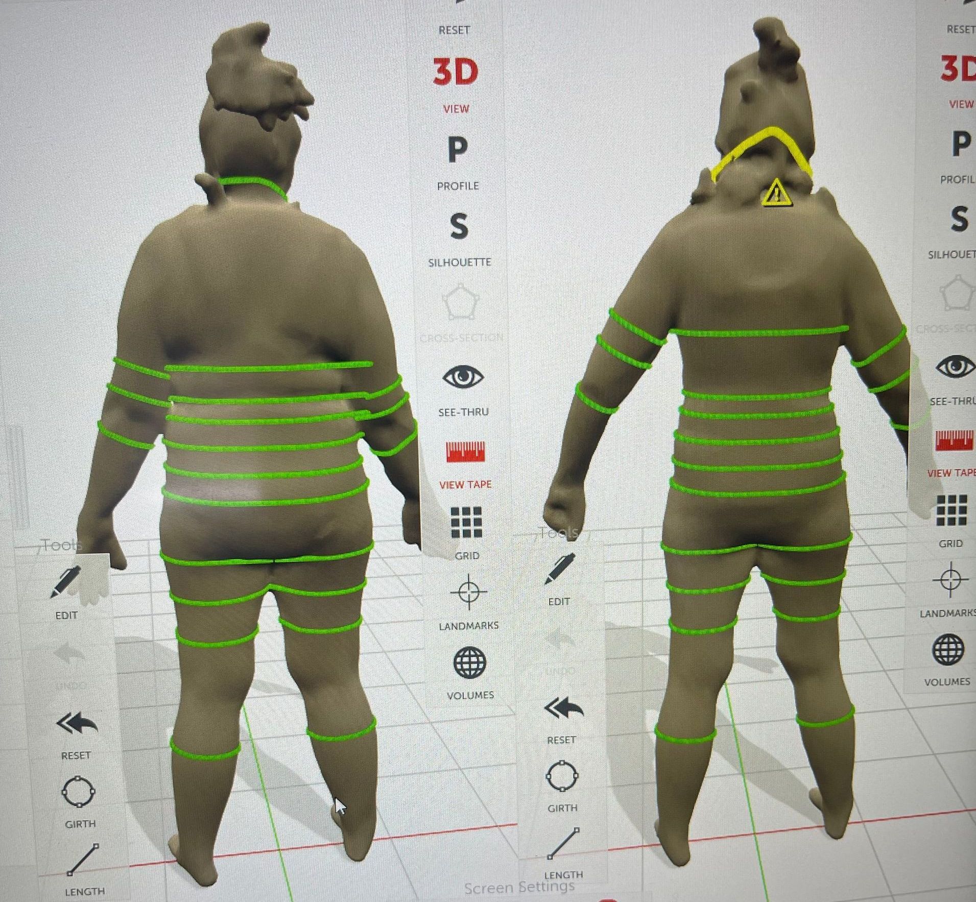 A 3d model of a man with green lines around his body