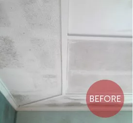 Before Image of a Mould Cleaning | Toowoomba, Qld | Blind Rescue