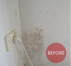 Before Image of a Mould Cleaning with Outlet on the Side | Toowoomba, Qld | Blind Rescue