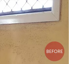 Before Image of a Mould Cleaning on the Tip of the Window | Toowoomba, Qld | Blind Rescue