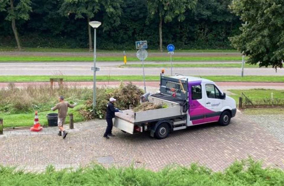 A white and purple truck is parked on the side of the road.