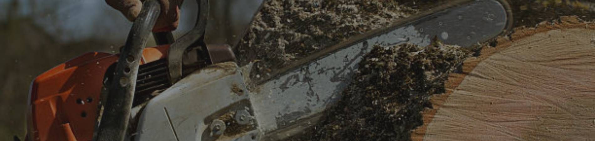 A person is cutting a log with a chainsaw.