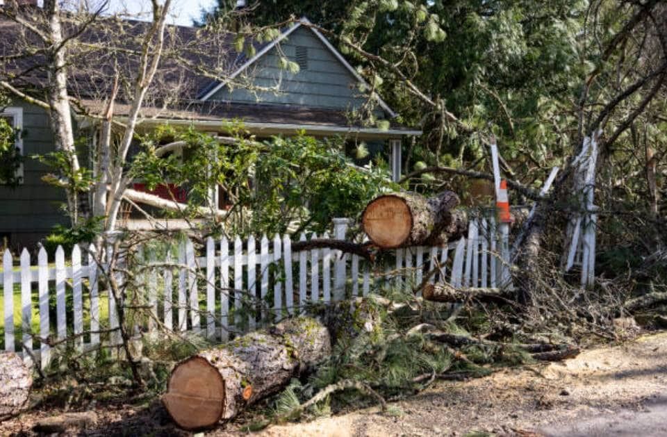 A house with a white picket fence and a pile of logs in front of it.