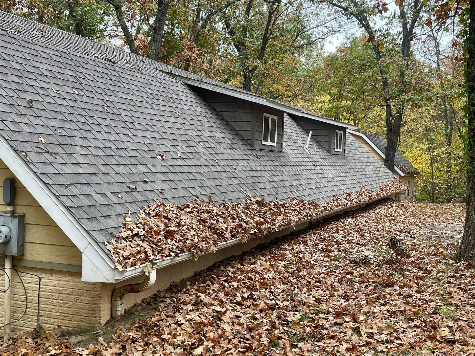 A house with a roof that is covered in leaves.