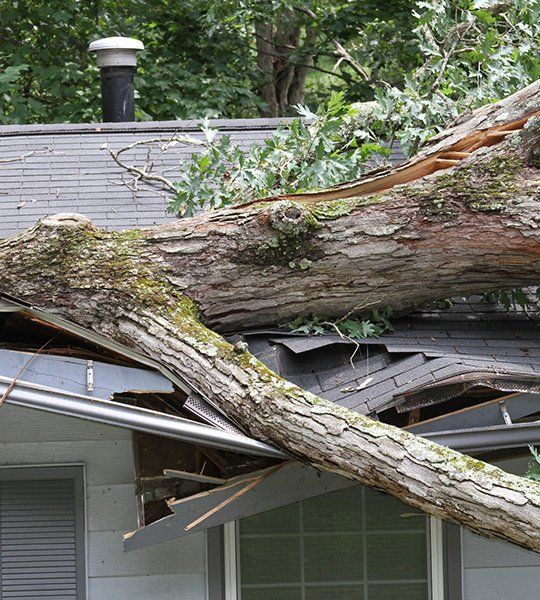Storm Damage Repair Service — Storm Damage in Cape Girardeau, MO