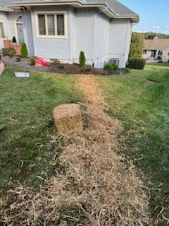 Straw scattered on a lawn near a house, with a hay bale in the center.