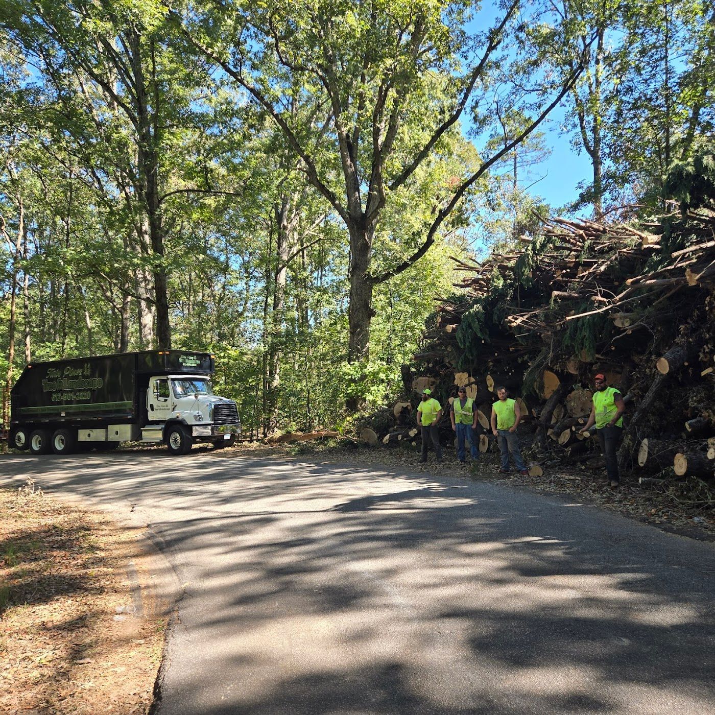 A utility truck parked next to a large pile of felled logs on a paved road, with four workers standing in front of the pile.
