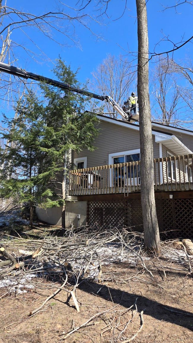 An arborist on a crane boom prunes branches near a house roof on a sunny day.