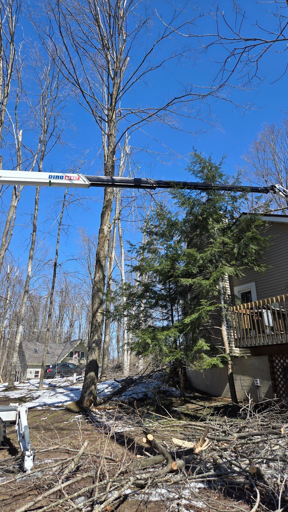 A crane arm extends over trees and a house on a sunny day with a blue sky.