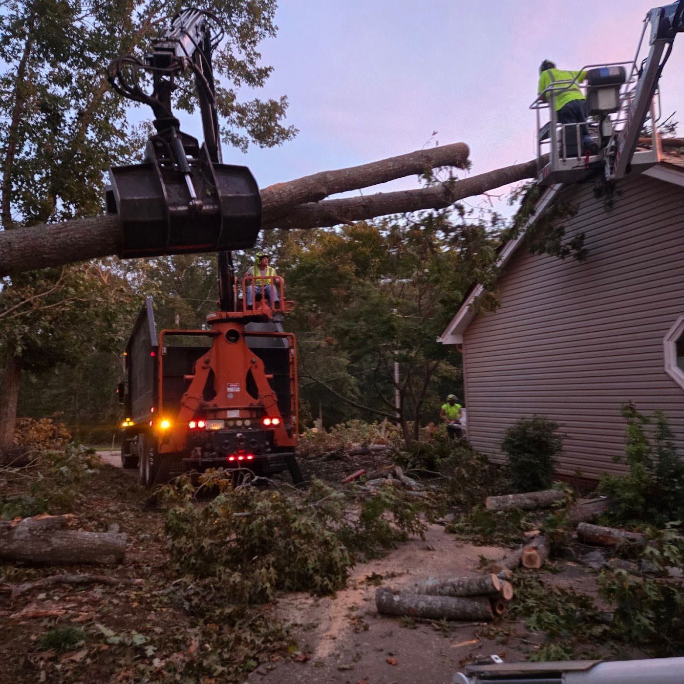 Workers use a crane with a grapple to remove a large fallen tree from the roof of a house.