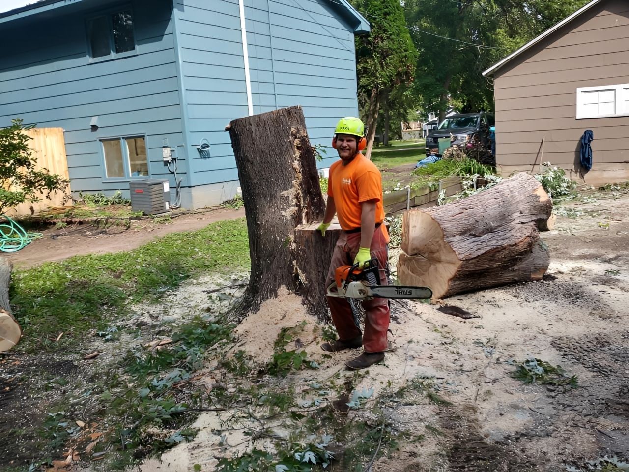 A worker in a high-visibility shirt and hard hat climbs a tall tree near a power pole to trim branches in a residential yard.
