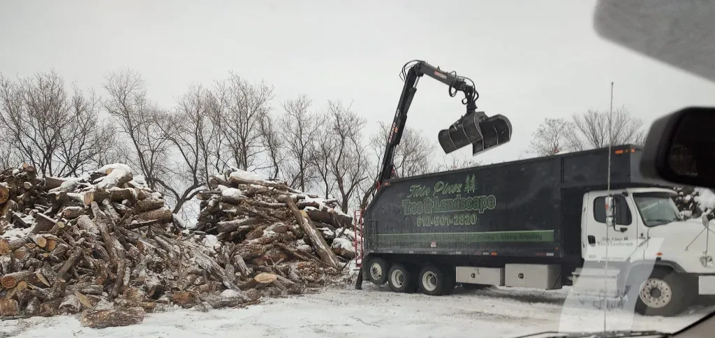 A grapple truck lifts logs near a large pile of timber on a snowy, overcast day.