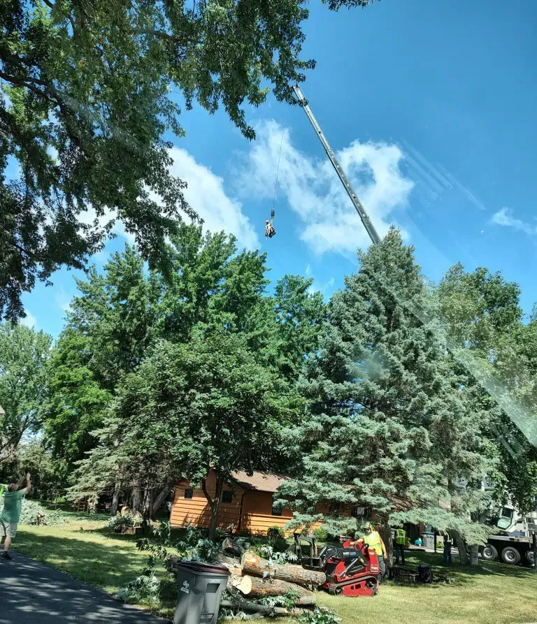 A crane lifts a large tree branch high above a residential yard with a house and equipment on the ground.