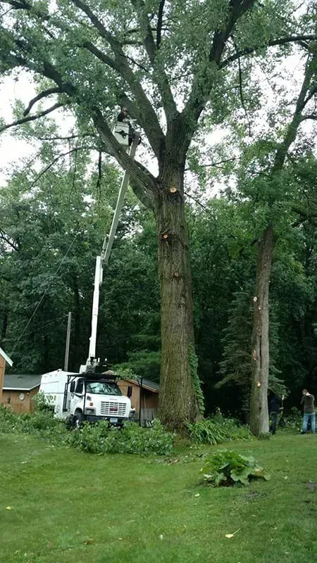 A utility truck with an extended boom lift is positioned next to a large tree in a yard, with a worker trimming branches.