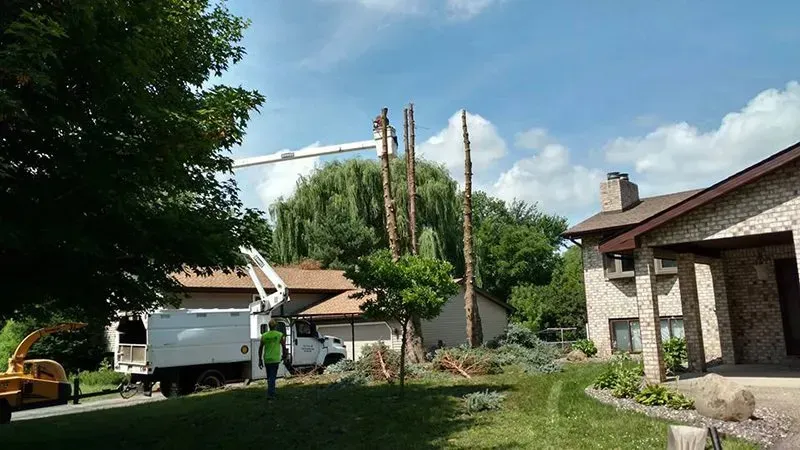 A worker in a bucket truck prunes tall, branchless tree trunks in front of a house on a sunny day.