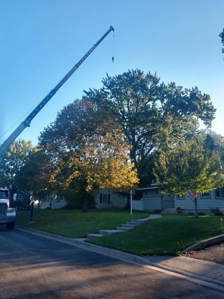 A construction crane extends its boom over a residential home and mature trees on a sunny day.