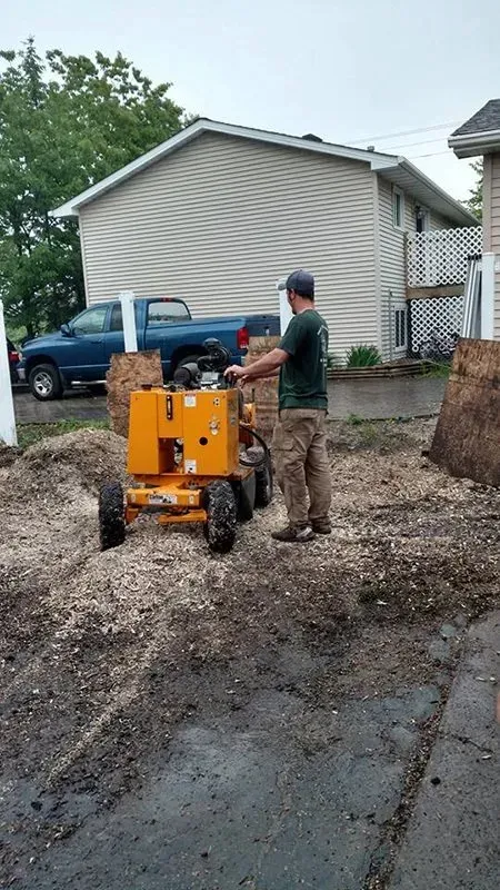 A person operates a yellow stump grinder in a dirt lot next to a blue truck and residential building.