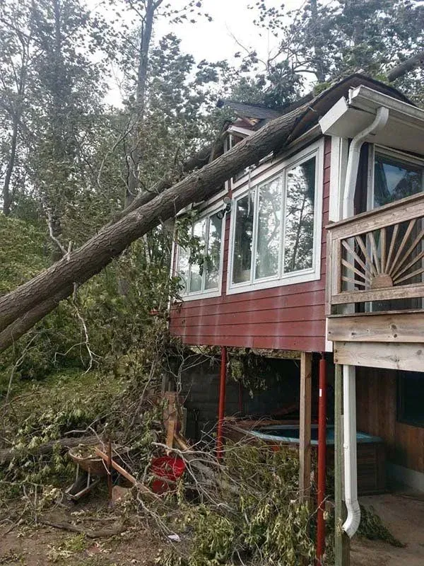 A large tree has fallen onto the roof of a raised, red-sided wooden house in a wooded area.