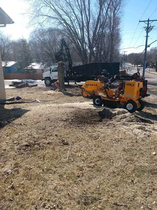 A bright yellow stump grinder removes a tree stump on a lawn, with a truck and trailer parked in the background.