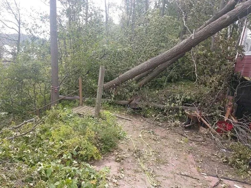 A fallen tree trunk lies across a path and onto the edge of a building after a storm, surrounded by scattered debris.