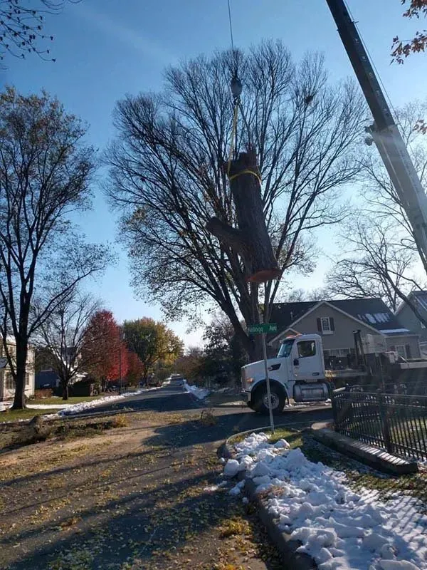 A large crane lifts a section of a tree trunk in a suburban neighborhood on a sunny day with some snow on the ground.