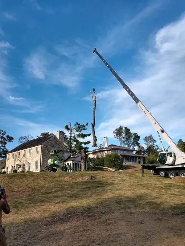A crane lifts a large tree trunk from a residential yard near two houses under a blue sky.