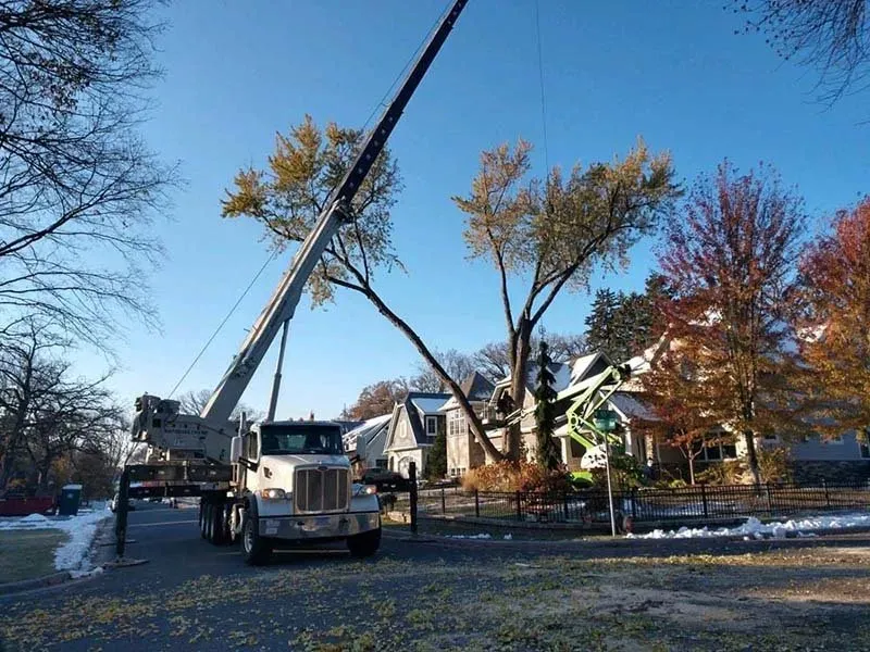 A crane truck parked on a street removes a large tree limb over a house with the help of a worker in a lift.