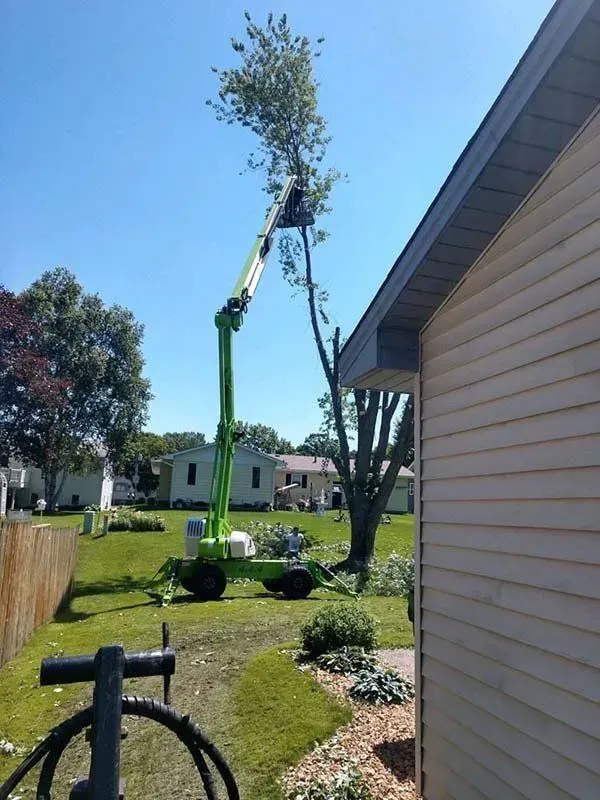 A bright green mechanical lift reaches high into a tree to prune branches in a residential yard next to a tan house.