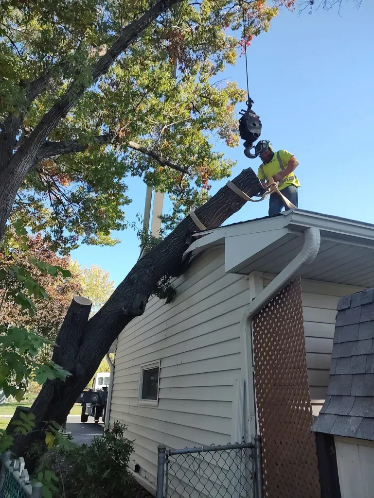 A worker in a high-visibility vest uses a crane to lift a large tree trunk off the roof of a light-colored building.