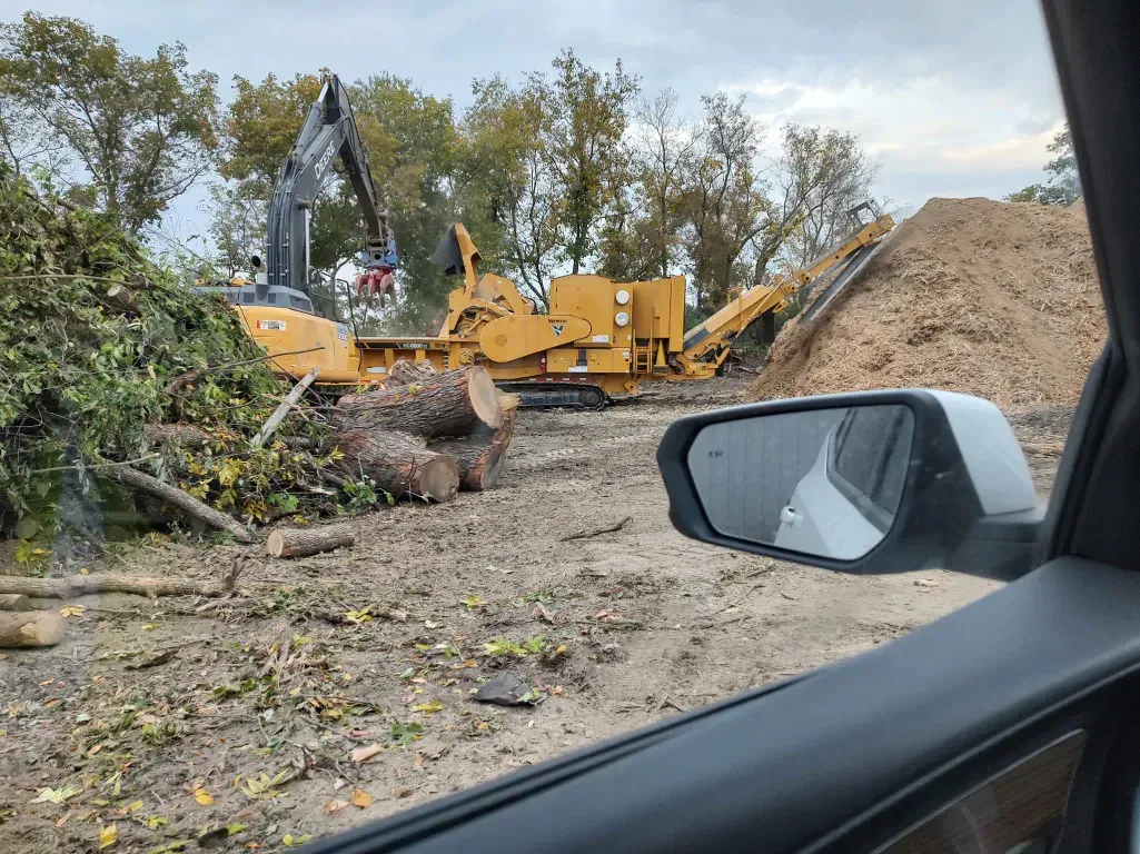 A yellow horizontal wood grinder processes logs into a large pile of wood chips, seen from inside a vehicle.