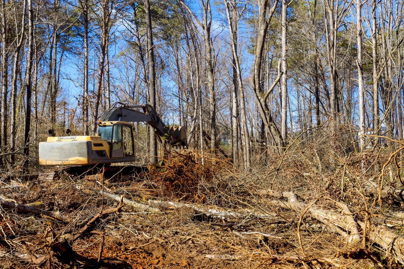 A yellow excavator clears brush and debris in a wooded area under a clear blue sky.