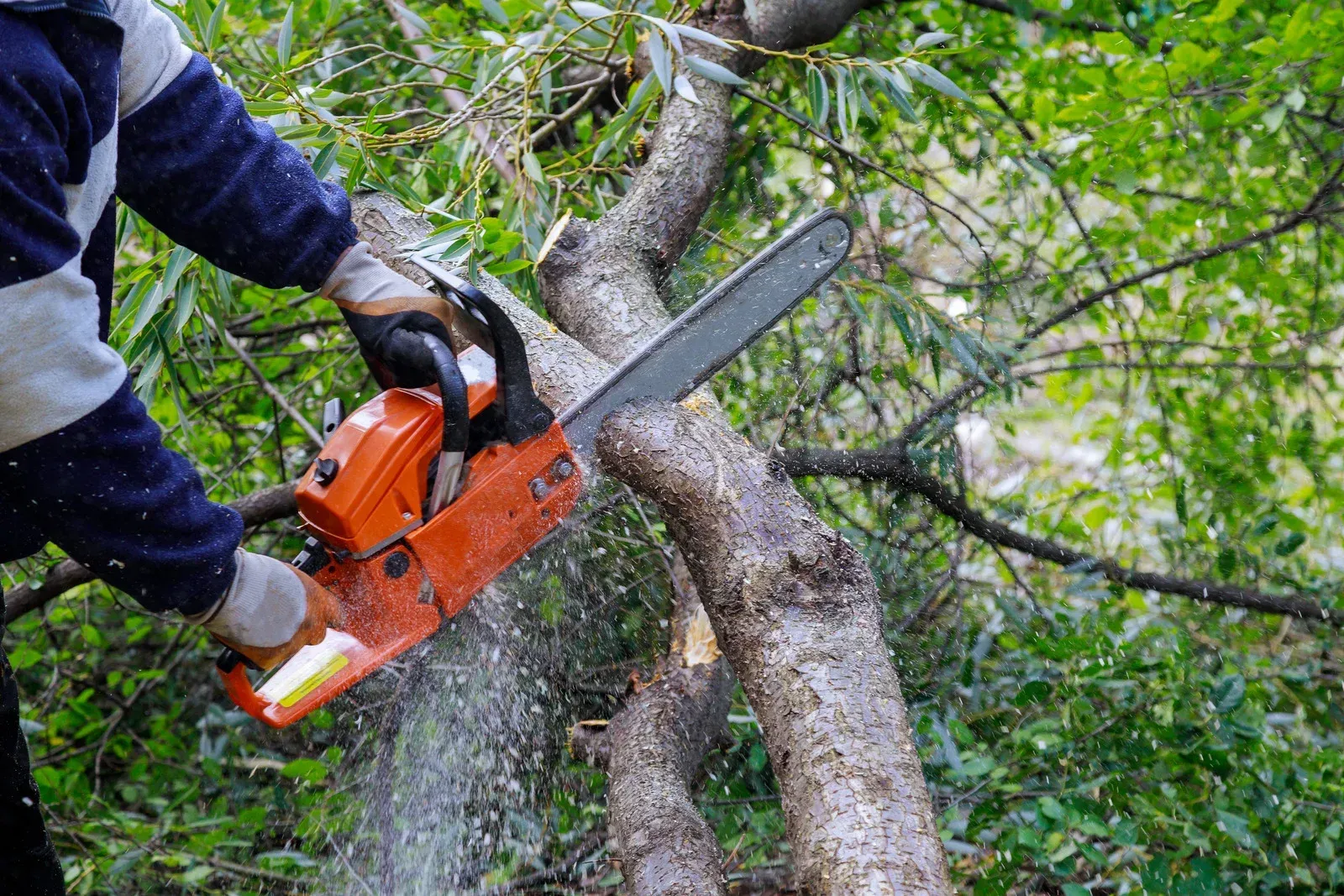 A worker in a crane bucket trims branches near a house and deck, with debris scattered on the ground below.