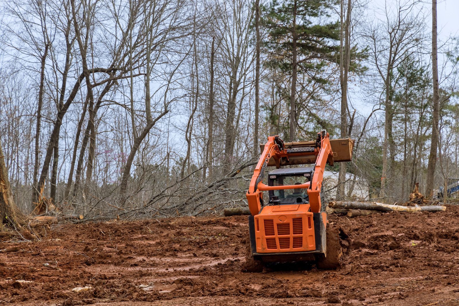 An orange skid-steer loader works on a muddy, cleared plot of land in front of a forest of bare trees.