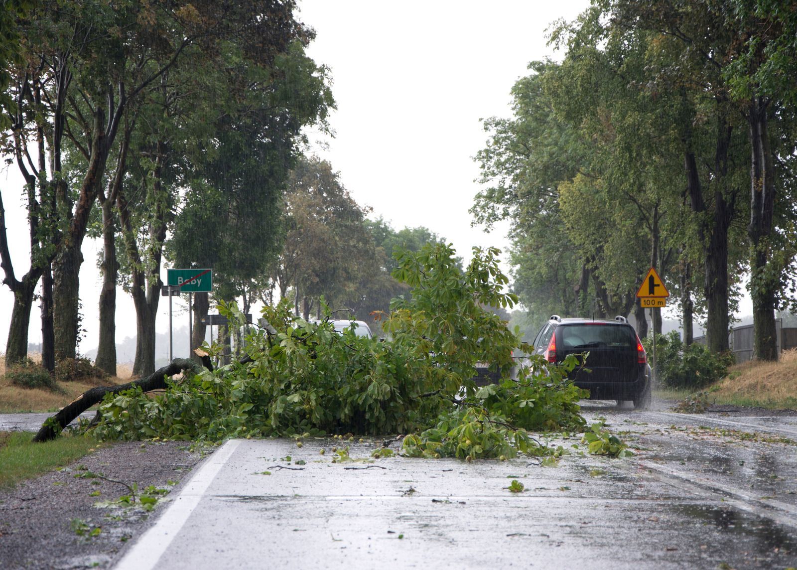 A fallen tree branch obstructs a wet, tree-lined road while a car drives past it in rainy weather.