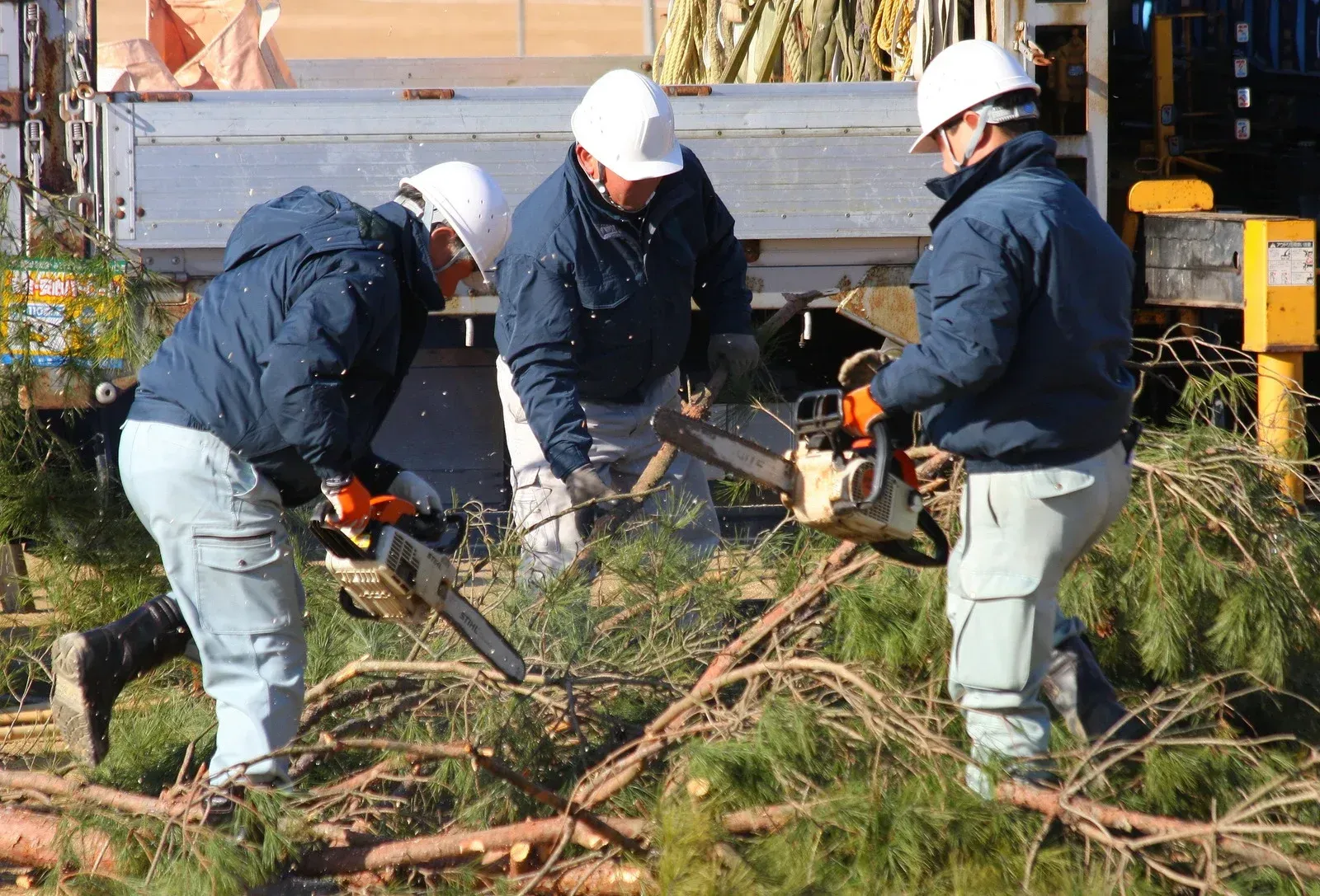 Three workers in white hard hats and blue jackets use chainsaws to clear fallen pine branches outdoors.