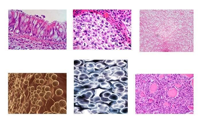 DR. RAÚL CASTREJÓN ROSALES