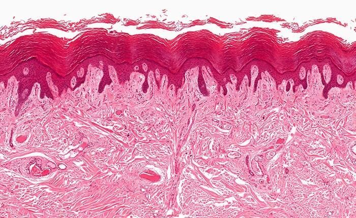 DR. RAÚL CASTREJÓN ROSALES