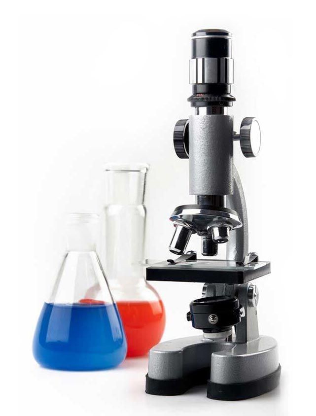 DR. RAÚL CASTREJÓN ROSALES DR. RAÚL CASTREJÓN ROSALES