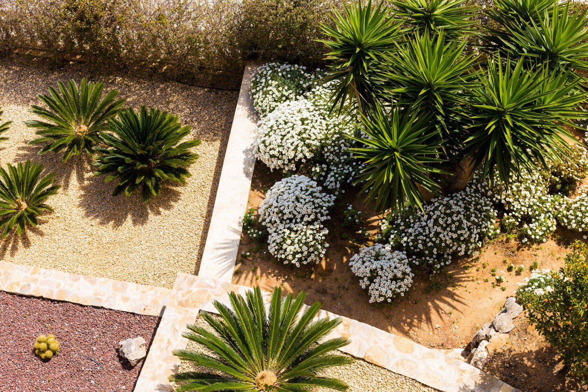 Landscape Design with Palm Trees — Wilmington, DE — Paradise Landscaping